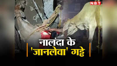 Nalanda News: नालंदा में गाय के पेट से आर-पार हुआ सरिया, फ्लाईओवर के गड्ढे में गिरने से खौफनाक हादसा