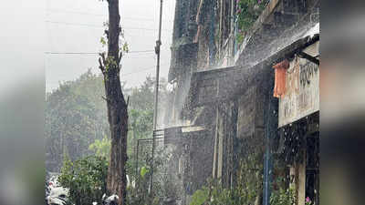 Mumbai Rains : मुंबईकरांचा वीकेंड ओलाचिंब, शहर-उपनगरात पावसाची हजेरी, उकाड्यातून दिलासा
