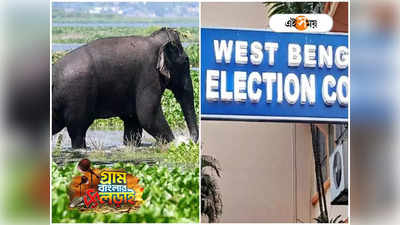 Panchayat Election In West Bengal 2023 : ভোটকর্মীদের নিরাপত্তায় হাতি! আক্রমণ ঠেকাতে অভিনব সিদ্ধান্ত কমিশনের