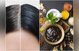 Herbs For Black Hair: এই ৭ ভেষজের গুণে প্রায় বিনা খরচে সাদা চুল হবে কালো, ঝটপট জেনে নিন নামগুলি