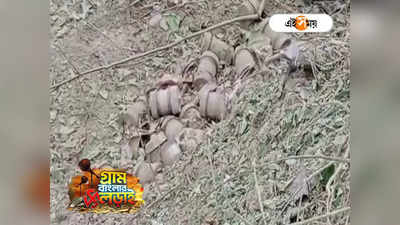 Beldanga Blast News : বিস্ফোরণের পর উদ্ধার বিপুল বোমা তৈরির সামগ্রী! বেলডাঙা কাণ্ডে রাজ্যজুড়ে হুলস্থুল