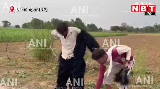 lakhimpur kheri news in hindi farmers use unique way to scare monkeys away from sugarcane fields