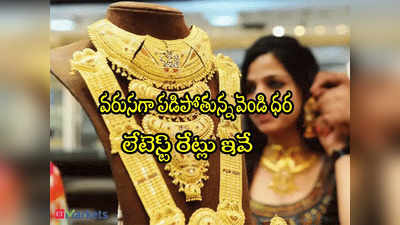 Gold Price Today: కుప్పకూలుతున్న వెండి ధర.. స్థిరంగా బంగారం.. హైదరాబాద్‌లో నేటి రేట్లు ఇవే! 