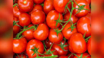 Tomato Price: दो दिन में दोगुनी हुई टमाटर की कीमत, किसानों ने खड़ी फसल पर चलाया ट्रैक्टर, जानिए क्या है वजह