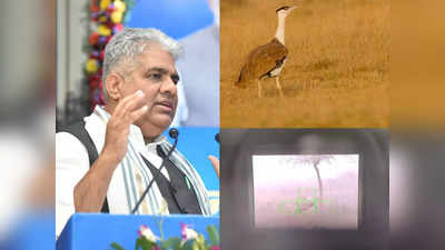 जब हम चीतों को वापस ला रहे हैं यह तो हमारा पक्षी है, अहमदाबाद में बाेले पर्यावरण मंत्री भूपेंद्र यादव