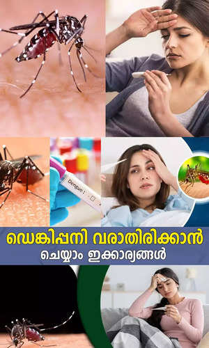 dengue fever prevention and causes