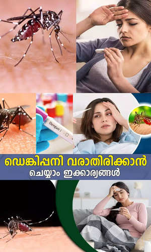samayam/health/dengue-fever-prevention-and-causes