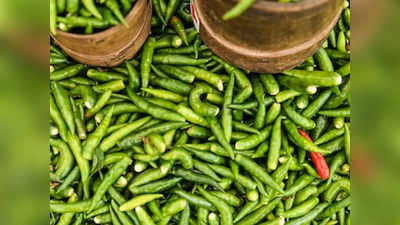 Green Chilli Price: কাঁচালঙ্কার দাম বেড়ে দ্বিগুণ! সবজির বাজারে মাথায় হাত মধ্যবিত্তের