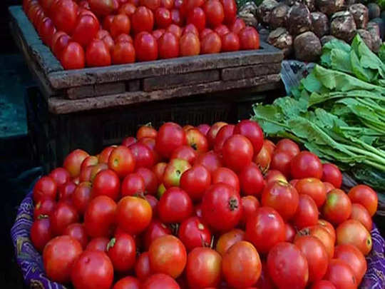 Tomato Price: 10-20 रुपये किलो बिकने वाला टमाटर का भाव क्यों चला गया 100  रुपये पर - tomato price go beyond rs 100 rupees per kg know the reason -  Navbharat Times