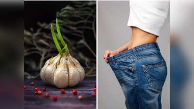 Garlic For Weight Loss: सुबह बासी मुंह चबाना शुरू करें लहसुन, तेजी से कम होगा वजन