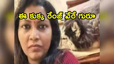 Meerut commissioner: పోలీస్ కమిషనర్ కుక్క మిస్సింగ్.. 36 గంటల్లో 500 ఇళ్లు గాలింపు 