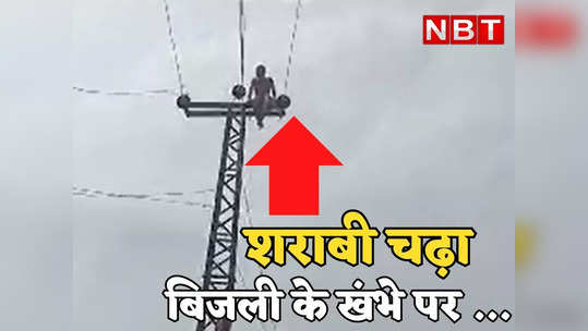 drunken youth climbed on electric pole in dholpur rajasthan