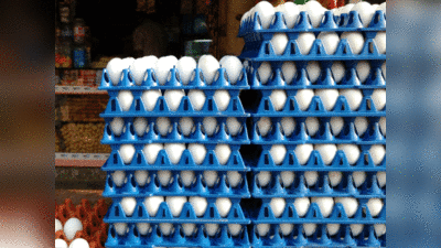 Hamirpur के दुकानदार हो जाएं सावधान, अब अंडों पर भी दर्ज होगी एक्सपायरी डेट