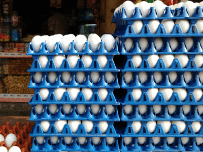 Hamirpur के दुकानदार हो जाएं सावधान, अब अंडों पर भी दर्ज होगी एक्सपायरी डेट