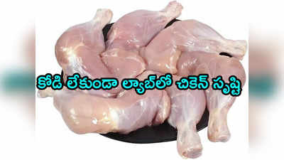 Chicken: కోడితో పనిలేని చికెన్.. అమెరికాలో అమ్మకానికి గ్రీన్ సిగ్నల్