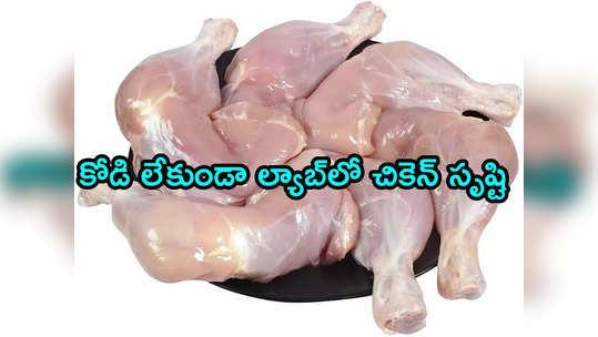 Chicken: కోడితో పనిలేని చికెన్.. అమెరికాలో అమ్మకానికి గ్రీన్ సిగ్నల్ 