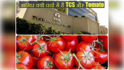 Tomato Price: टीसीएस और टमाटर इन दिनों चर्चा में क्यों है?