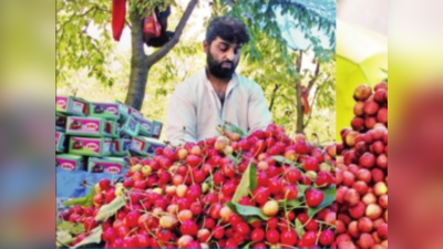 परराज्यांतील रंगीबेरंगी फळांनी बाजार सजला; बिहारच्या लिचीपासून ते काश्मीरच्या चेरीपर्यंत...