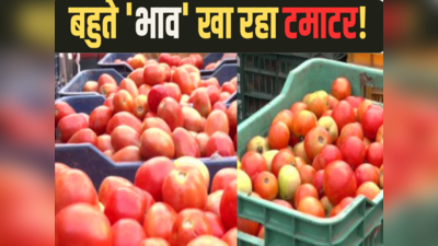 Bihar Tomato Price: बिहार में टमाटर हुआ लाल, बिगाड़ा सब्जी का स्वाद