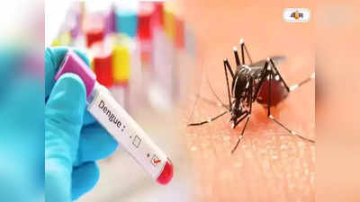 Dengue in Kolkata : শহরে বাড়ছে ডেঙ্গি সংক্রমণ, মোকাবিলায় নজর পুরভবনেও
