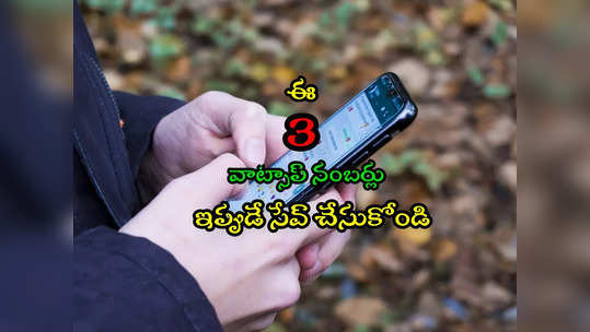 WhatsApp Numbers: మీ ఫోన్లో ఈ 3 నంబర్లను ఇప్పుడే సేవ్ చేయండి.. అన్నీ వాట్సాప్‌లోనే పొందండి! 