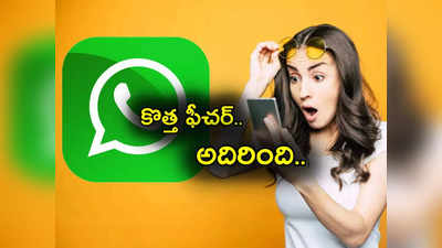 Whatsapp: వాట్సాప్ నుంచి అదిరిపోయే అప్‌డేట్.. కొత్త ఫీచర్.. ఇప్పుడు ఒకేసారి 32 మందితో!