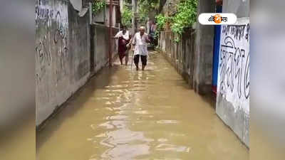 Kolkata Municipal Corporation : বৃষ্টির দু’দিন পরেও হাঁটুজল, চরম দুর্ভোগ কলকাতা পুরসভার ১২৩ নম্বর ওয়ার্ডে
