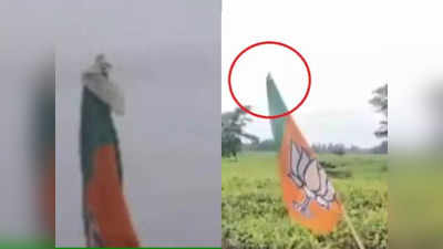 Bengal Panchayat Chunav: BJP के झंडे के ऊपर लगा दिया कंडोम! आखिर पश्चिम बंगाल पंचायत चुनाव में क्या-क्या हो रहा है