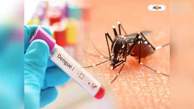 Dengue In Kolkata : গন উইথ ফগিং... মশা নয় টাকা! উৎসে লার্ভা বিনাশই একমাত্র উপায়