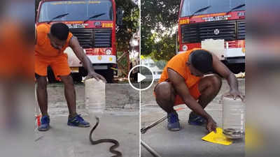 Viral Video: प्लास्टिक जार-पेपर का इस्तेमाल कर शख्स ने झट से पकड़ लिया कोबरा सांप, तरीका देख इंप्रेस हो गए लोग
