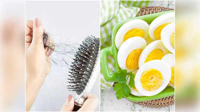 Eggs For Hair: সপ্তাহে ঠিক কটা ডিম খেলে কমবে চুল পড়া? জেনে নিন বিশেষজ্ঞদের মত