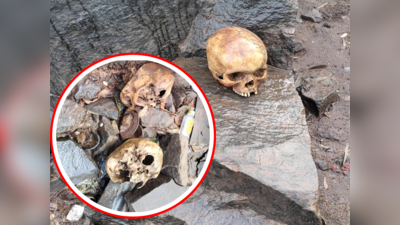 कोल्हापुरात नदीच्या किनाऱ्यावर आढळल्या ४ मानवी कवट्या, बाकी सांगाडा गायब; नेमका प्रकार काय?