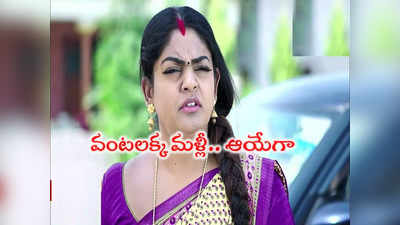 Karthika Deepam Vantalakka: నాలో ఎవరికీ తెలియనిది ఇదే: కార్తీకదీపం వంటలక్క 