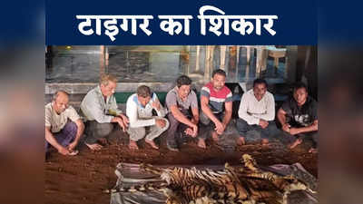 Bijapur News: कहां हुआ बाघ का शिकार? वन विभाग की टीम ने टाइगर की खाल के साथ 7 लोगों की किया गिरफ्तार