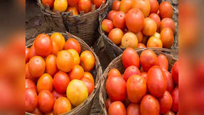 Tomato Prices: ఏపీ ప్రజలకు అదిరిపోయే శుభవార్త.. సబ్సిడీపై టమాటా.. అతి తక్కువ ధరకే..