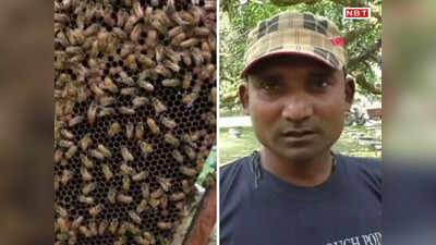 Katihar News: मधुमक्खी पालन से रोजगार की नई राह दिखा रहे मंडल दंपत्ति, 10 हजार लगाकर हो जाती है दोगुनी कमाई