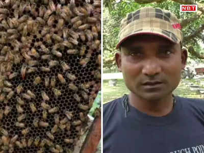 Katihar News: मधुमक्खी पालन से रोजगार की नई राह दिखा रहे मंडल दंपत्ति, 10 हजार लगाकर हो जाती है दोगुनी कमाई