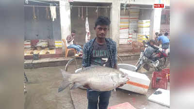 Bihar News: शिवहर के फिश मार्केट में आई 15 kg की एक मछली, देखने के लिए जुट गई भीड़