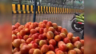 MP Tomato Price: रायसेन में 160, भोपाल में 140 और इंदौर में 120 रुपए... मध्यप्रदेश में कहां-कहां टमाटर खा रहा है भाव