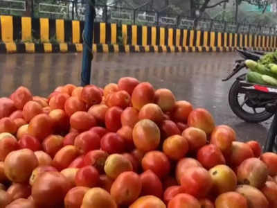 MP Tomato Price: रायसेन में 160, भोपाल में 140 और इंदौर में 120 रुपए... मध्यप्रदेश में कहां-कहां टमाटर खा रहा है भाव