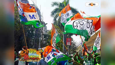 West Bengal Election 2023 : ভেজি-প্রাইসে ভেজা ফ্রাই! প্রচার ভোটে, পালটা জ্বালানি-তোপ তৃণমূলের