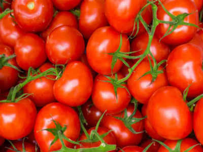 Tomato Price: 200 रुपये तक पहुंची टमाटर की कीमत, कैसे कम होगा भाव? जानिए क्या कहते हैं एक्सपर्ट्स