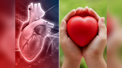 Heart Attack Prevention: 3 પ્રકારના હોય છે હાર્ટ એટેક, અલગ અલગ છે લક્ષણો; કાર્ડિયોલોજીસ્ટે જણાવ્યા બચાવના ઉપાય 