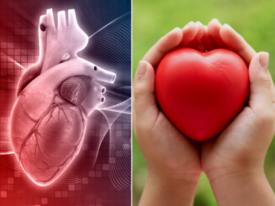 Heart Attack Prevention: 3 પ્રકારના હોય છે હાર્ટ એટેક, અલગ અલગ છે લક્ષણો; કાર્ડિયોલોજીસ્ટે જણાવ્યા બચાવના ઉપાય