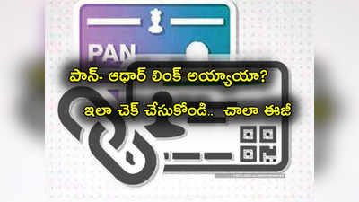 Pan Card: బిగ్ అలర్ట్.. మీ ఆధార్-పాన్ లింక్ అయిందా? లేదా? చెక్ చేసుకోవడం ఎలా?