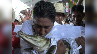 video: મેયરે મગર સાથે ધામધૂમથી કર્યા લગ્ન, જાહેરમાં કિસ પણ કરી!