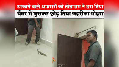 Ashoknagar News: अफसरों ने काम नहीं किया तो आदिवासी ने चैंबर में छोड़ दिया जहरीला गोह, कहा- अब सांप छोड़ूंगा