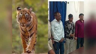 Burhanpur News Today Live: सड़क पर दिखे दो टाइगर, सांसद प्रतिनिध‍ि के घर में चोरी, पढ़े बुरहानुपर की बड़ी खबरें