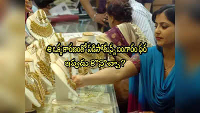 Gold Prices: ఆ ఒక్క కారణంతో బంగారం ధర పతనం.. నెలలో రూ.2000 డౌన్.. ఇంకా తగ్గుతుందా? 