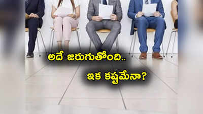 Jobs Report: ఉద్యోగాలు ఊడుతున్నాయ్.. పరిస్థితి ఒకప్పటిలా లేదు.. ఈ గణాంకాలే సాక్ష్యం!